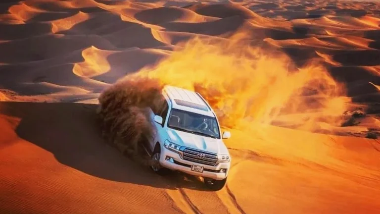 VIP Desert Safari Tour